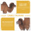 2Pcs Camel Figuriner Djurföremål Statyer Leksaker Dekorationer 6