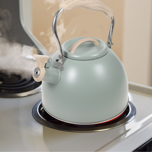 Rustproof Stainless Steel Whistling Water Kettle Light Green Handle 1