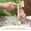 1 set kinder toolkit met , , borstel en vergrootglas 8