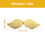 2 Engelenvleugels Cosplay Feest Halloween Accessoire 3