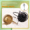 Mini Vogelkooi Model Decoratief Accessoire Voor Mini Huis 11