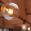 6Stk E12 Duftwachs Diffusorlampe Klarglas 7
