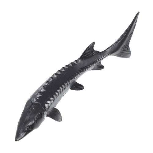De Esturión Artificial Para Niños De Animal Marino