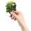 12Pcs 1:50 Train Scenery Model Trees Green 4