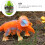 1 Set Imitations Dinosaurier Modell Mit Dinosaurier Ei Spielzeug 10