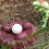 1 Set Imitations Dinosaurier Modell Mit Dinosaurier Ei Spielzeug 11