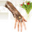Klassisches -Armband- Für Damen Mit Ring (Gold) 7