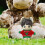 Mini Puppenpullover Selbermachen Kleidung Miniaturpullover 4