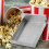 Popcornmaschine Ölteller: Ersatzteil Für Einfache Montage 5