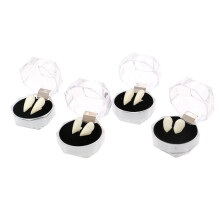 4 Boxen Echte Zähne Fänge Cosplay Requisiten Halloween Kostüm 13–19mm