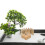 8 Unidades Mini Pacas De Pequeñas Decorativas Para 4