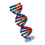 Diy Doble Genes Aprendizaje Escuela Oficina 5