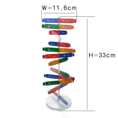 Diy Doble Genes Aprendizaje Escuela Oficina 1