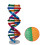 Diy Doble Genes Aprendizaje Escuela Oficina 10
