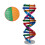 Diy Doble Genes Aprendizaje Escuela Oficina 7