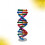 Diy Doble Genes Aprendizaje Escuela Oficina 8