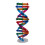 Diy Doble Genes Aprendizaje Escuela Oficina 4