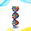 Diy Doble Genes Aprendizaje Escuela Oficina 11
