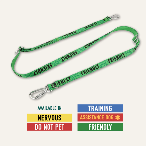 Twiggy Tags Awareness Multi-Way Lead Friendly
