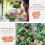 20 Unidades Miniatura De Arcilla Para Decoración 11