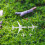 4Pcs Micro Landscape Airplane Model For Sand Table Plastic Aircraft 5