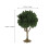 2 Pcs Mini Artificial Trees For Railroad Diorama 10cm 3