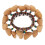 1Pc Nut Shell Bracelet With African Drum Bell (Assorted Colors) 1