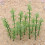 100Pcs 1:75 4 Scales Plastic Bamboo Trees For Model Train Landscape 8