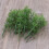 100Pcs 1:75 4 Scales Plastic Bamboo Trees For Model Train Landscape 10