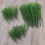 100Pcs 1:75 4 Scales Plastic Bamboo Trees For Model Train Landscape 11