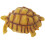 Simulation Turtle Ornament Realistic Figurine For Early Education 2