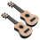 2Pcs Children's Plastic Ukulele Musical Instrument Educational Toy 9