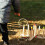 12Pcs Garden Ring Toss Game Set With Blocks And Rope 4