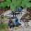 6Pcs Special Forces Soldier Models With Moveable Arms And Legs 4
