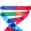 Double Helix Structure For Human Gene Science Education 8