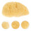 Sponge Da Artista Per Acquerello Pittura Bambini Forma 4