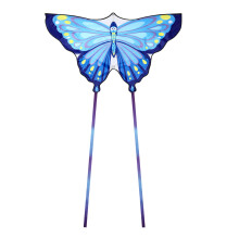 Kite Easy To Fly With Long Tails And 100m String For Outdoor Fun