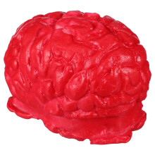 Halloween Prop Scary Fake Human Brain Body Parts For Party Accessories