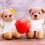2 Per Costume Decorativo Riutilizzabile 8