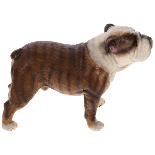 Bulldog , Statua Cane Vivido, Didattico