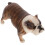 Bulldog , Statua Cane Vivido, Didattico 3