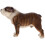 Bulldog , Statua Cane Vivido, Didattico 11