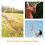 Children Bubble Wands A Forma Stoccaccio 45 Cm, 11
