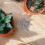 20 Mattoncini Miniatura In Argilla Per Paesaggio Micro 9