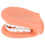 Human Teeth Model For Teaching Standard Tooth 1