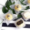 300Pcs White Half Transparent Biscuit Candy Baking Gift Bags 5