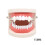 4 Boxes Teeth Dentures Fangs False Teeth For Halloween Costume Party 3