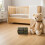 Accessoires Boîte Rangement Plastique Or 4