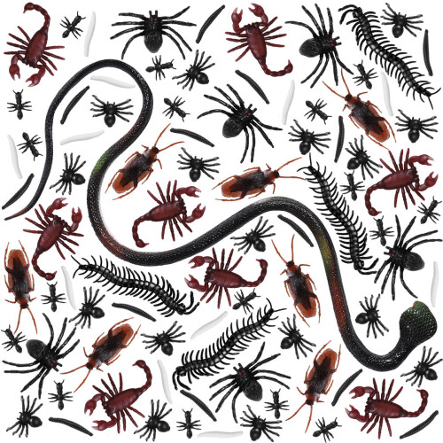 169 Insetti Realistici Per Decorazioni Halloween