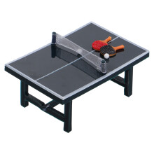 Miniatura Set Pong Realistico Con Racchette E